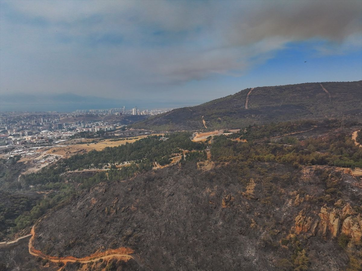 İzmir'de yanan alanlar havadan görüntülendi