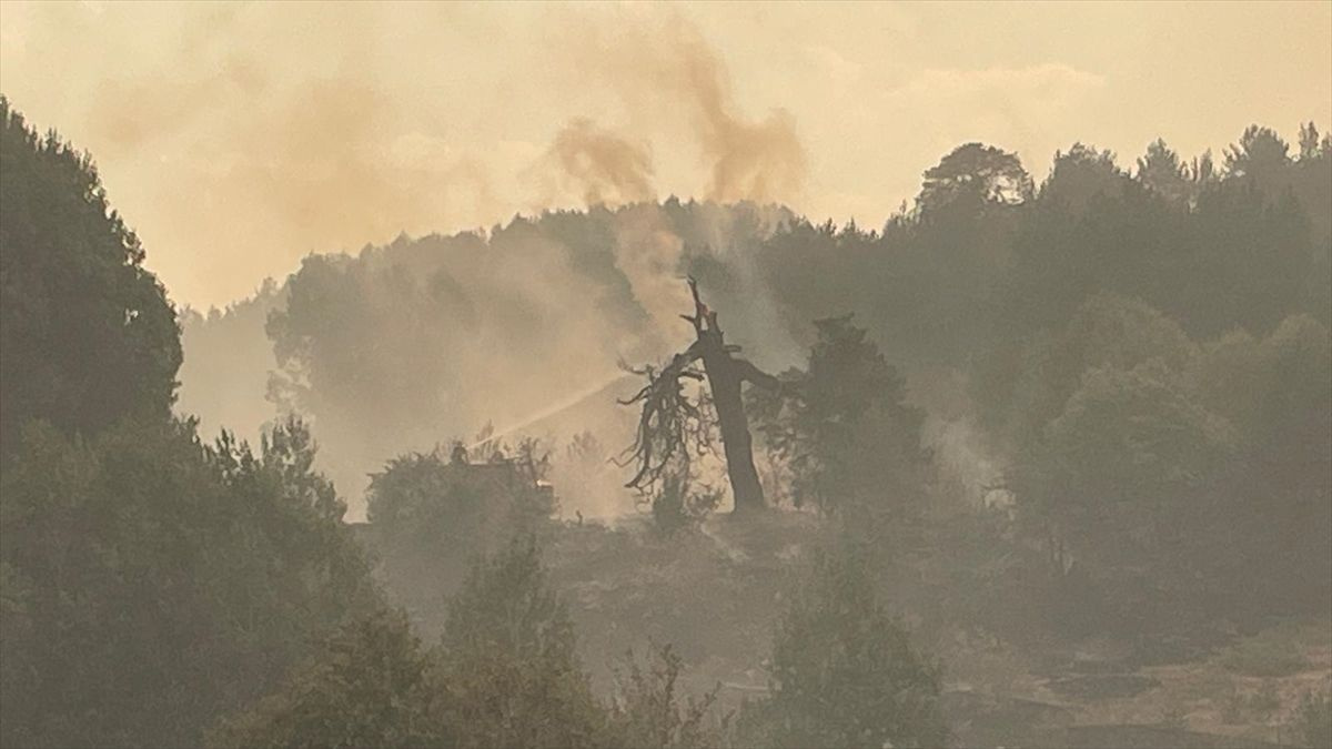 Ankara'da başlayan yangın Bolu'ya sıçradı! Bir köy tedbir amaçlı boşaltıldı