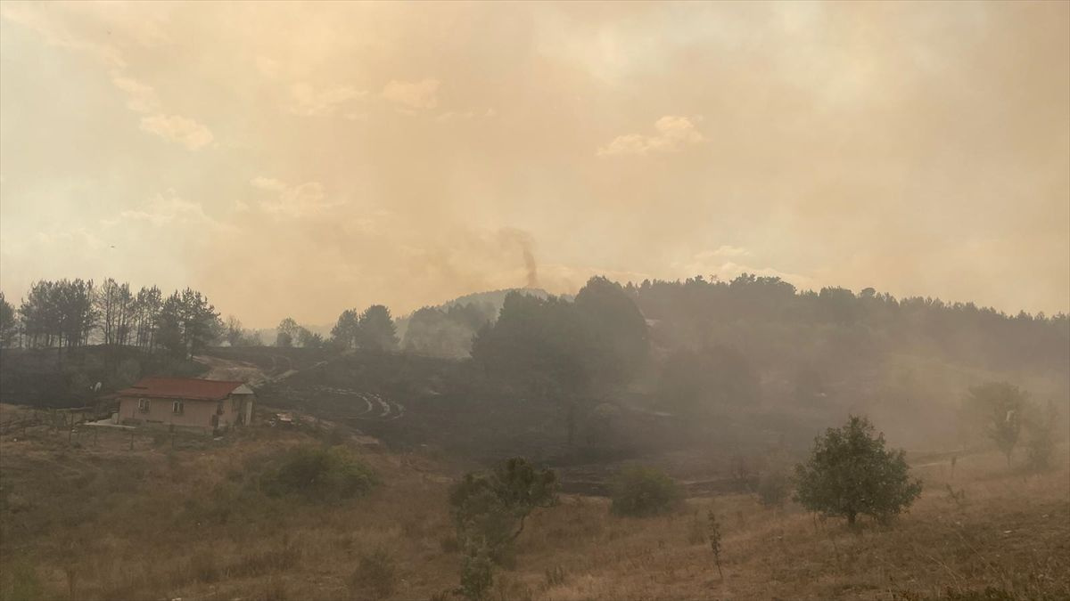 Ankara'da başlayan yangın Bolu'ya sıçradı! Bir köy tedbir amaçlı boşaltıldı