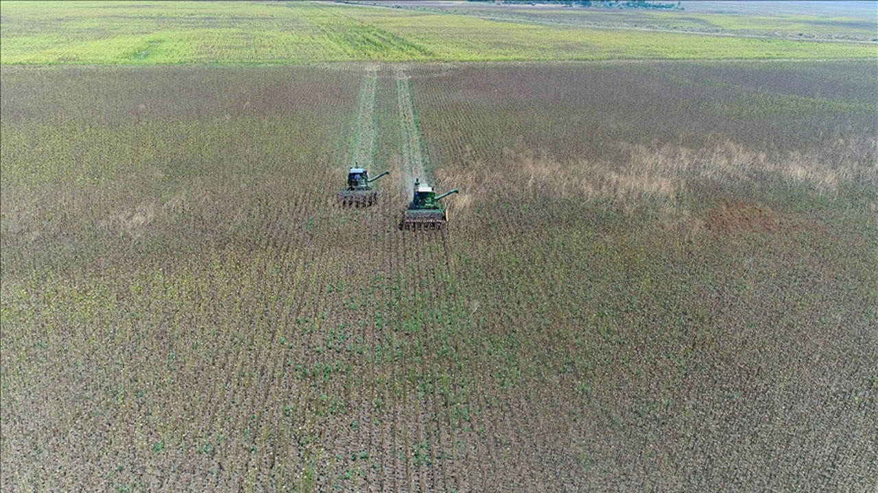 İki yıl üst üste işlenmeyen tarım arazileri kiraya verilecek