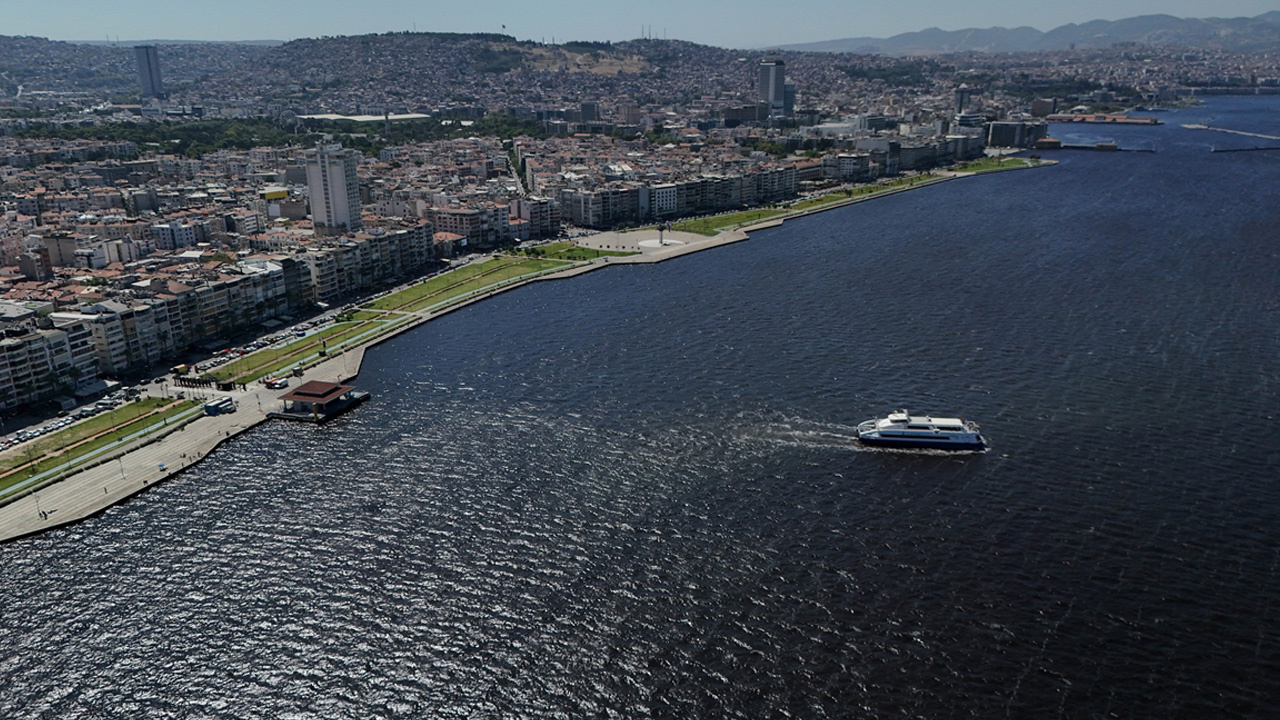 Çevre, Şehircilik ve İklim Değişikliği Bakanlığı'ndan İzmir Körfezi'ndeki balık ölümlerine ilişkin inceleme