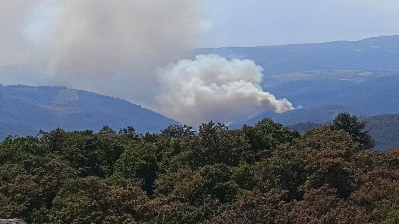 Bursa'da orman yangını çıktı