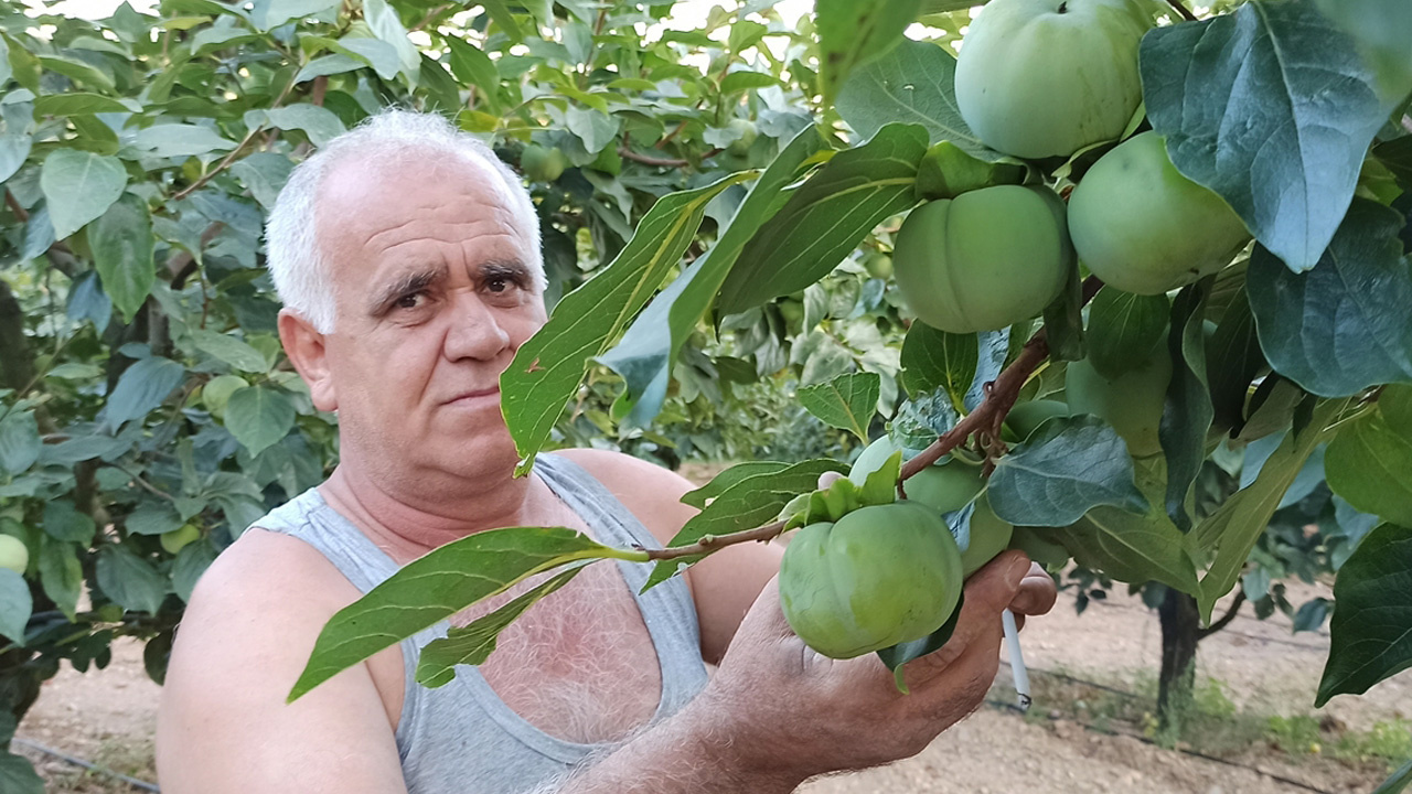 Meyve bahçesine bu sistemi kurdu, enerji maliyeti sıfıra düştü! 100 bin lira cebinde kaldı...