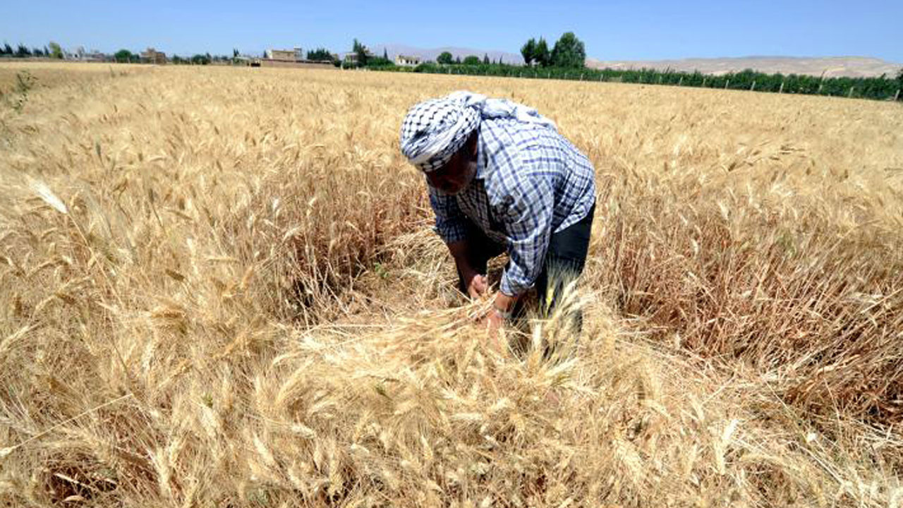 Çiftçilere yaklaşık 2 milyar lira tarımsal destek ödemesi yapılacak