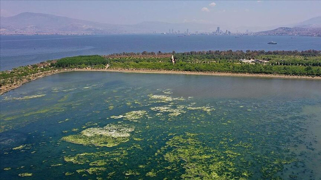 Madde madde açıklandı! İzmir Körfezi böyle temizlenecek...