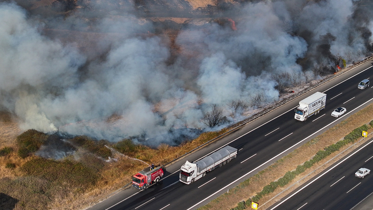 Adana'da yol kenarındaki ağaçlık alanda yangın