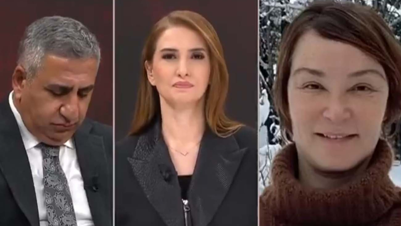 Aslı Baykal, yeni parti iddialarına canlı yayında cevap verdi