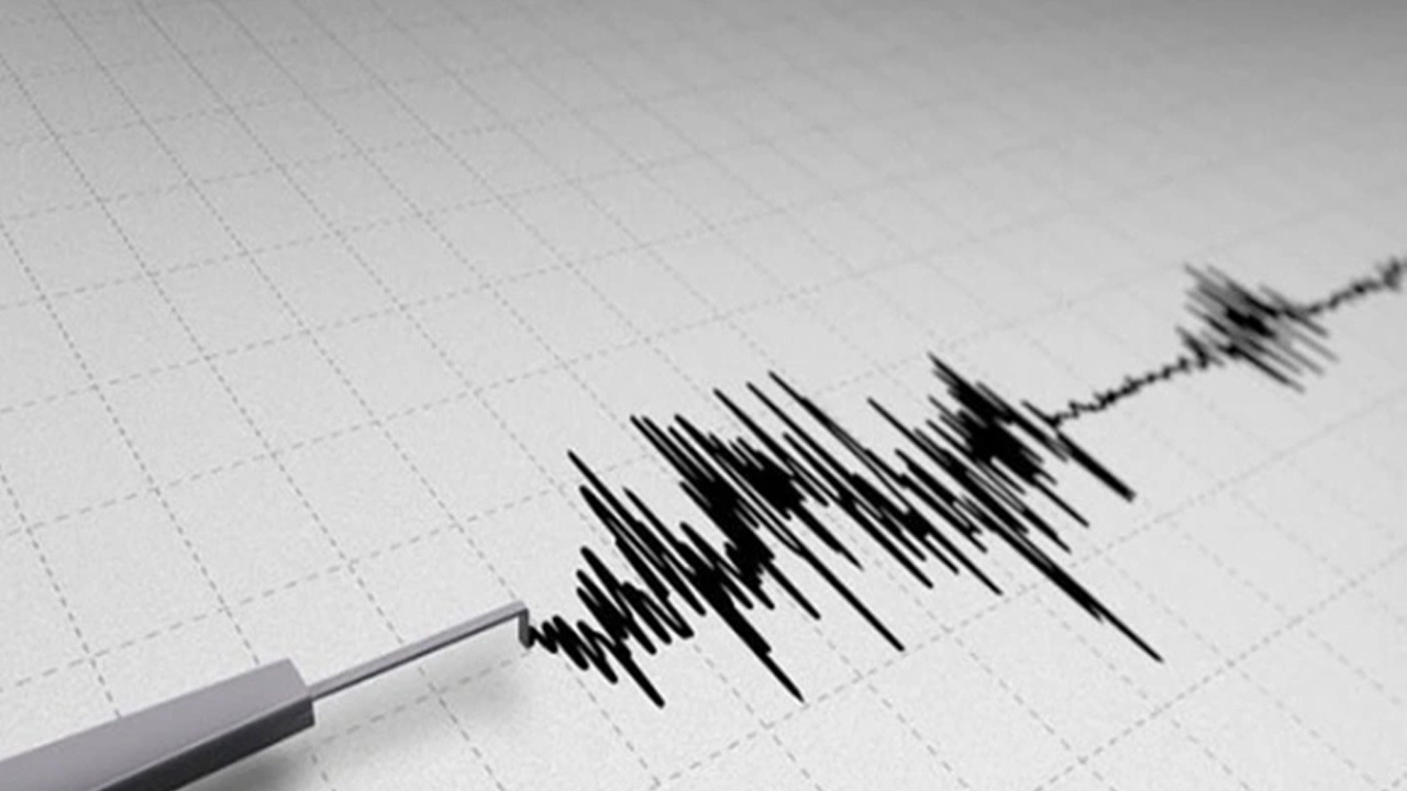 Muğla'da panik yaratan deprem! AFAD'dan açıklama geldi