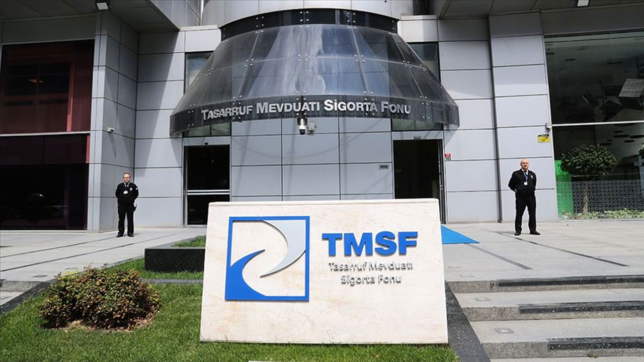 TMSF, 2 şirketi satışa çıkardı