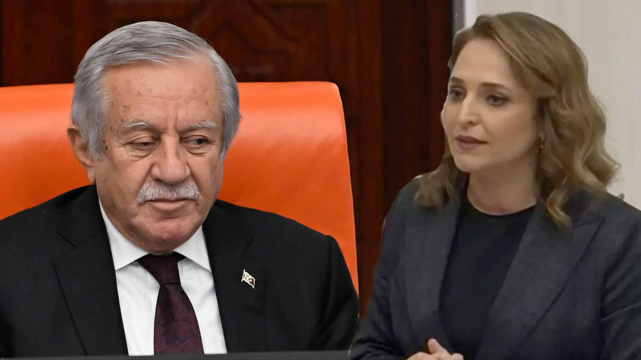 MHP'li Celal Adan izin verdi DEM'li Ayşegül Doğan'dan TBMM'de Kürtçe selamlama