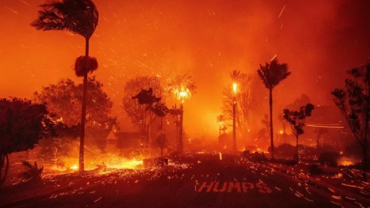 Los Angeles diken üstünde! Santa Ana rüzgarları...