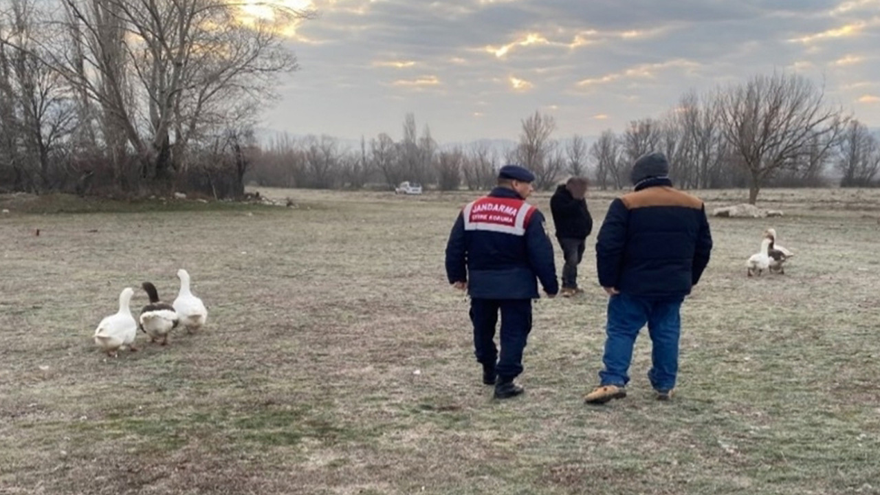 Çorum'da kaz dövüşü yaptıran 7 kişiye 72 bin 695 lira ceza kesildi