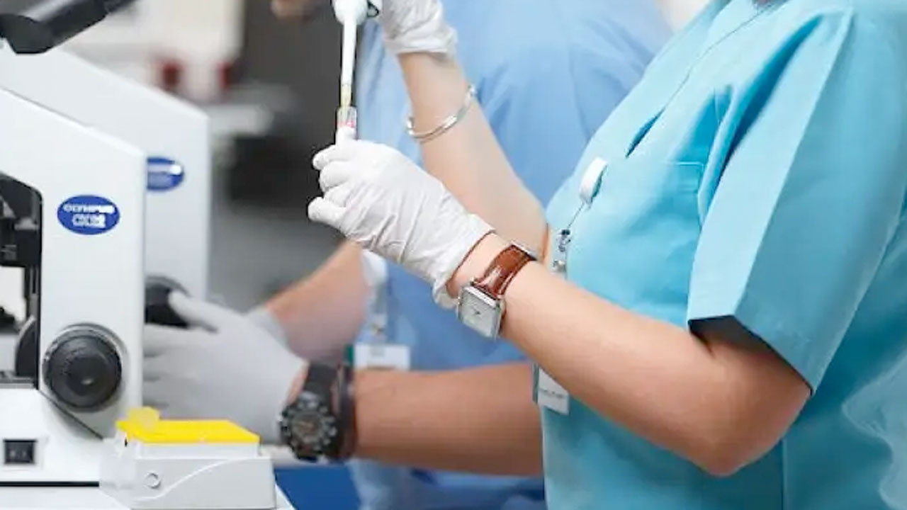 Kadınların yumurtalarını ABD'ye satan klinikteki WhatsApp konuşmaları ortaya çıktı
