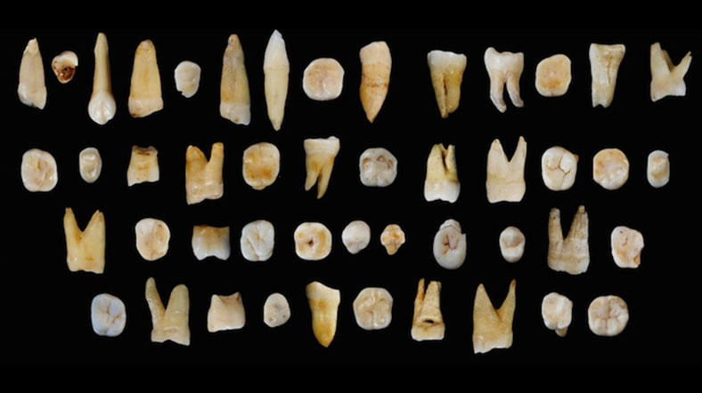 Çin'de herşeyi değiştirecek buluş 120 bin yıllık - Resim: 0