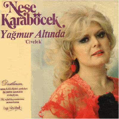 neşe karaböcek kimdir gençliği ve son hali